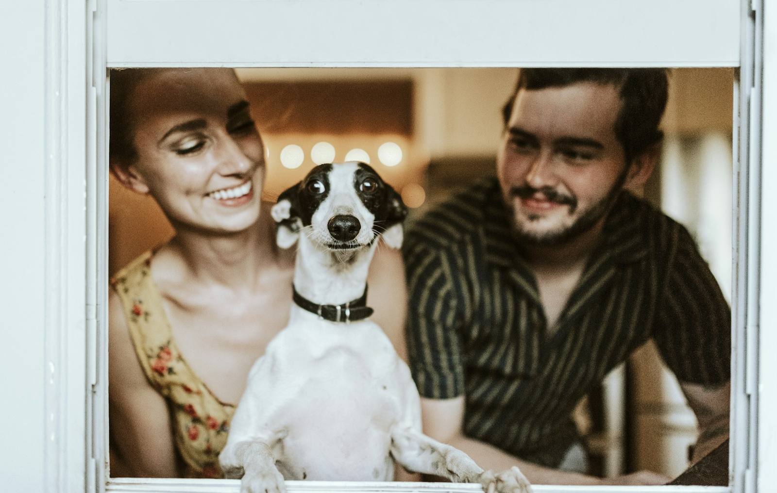 Primero miran al perro.
Después hablan contigo.